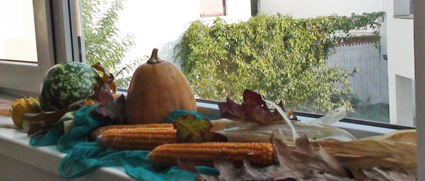 DSC01564