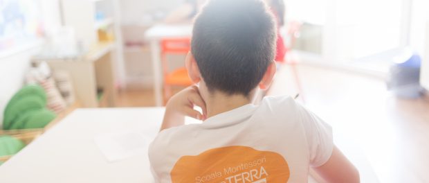 monterra-3492 10 ani de Montessori în România